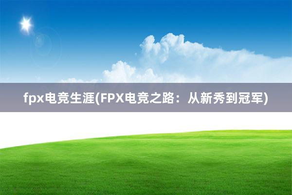 fpx电竞生涯(FPX电竞之路：从新秀到冠军)