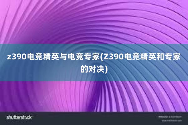 z390电竞精英与电竞专家(Z390电竞精英和专家的对决)