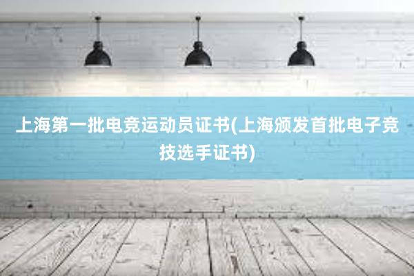 上海第一批电竞运动员证书(上海颁发首批电子竞技选手证书)