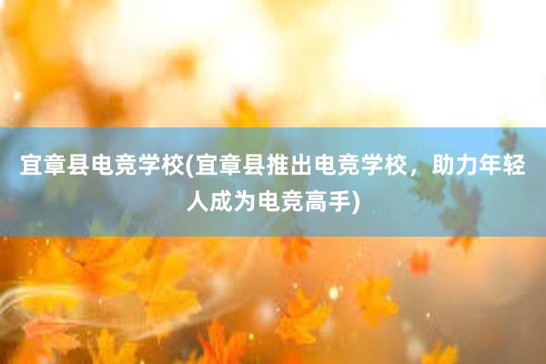 宜章县电竞学校(宜章县推出电竞学校，助力年轻人成为电竞高手)