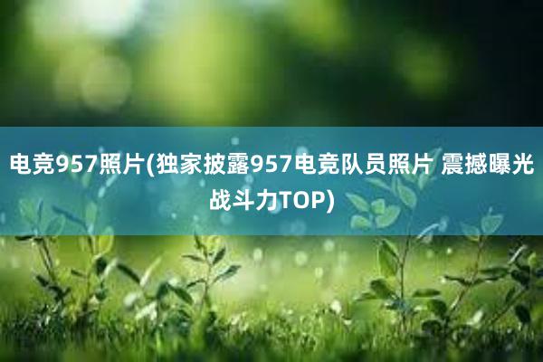 电竞957照片(独家披露957电竞队员照片 震撼曝光战斗力TOP)