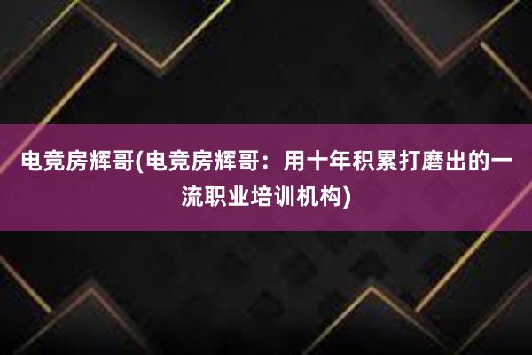 电竞房辉哥(电竞房辉哥：用十年积累打磨出的一流职业培训机构)