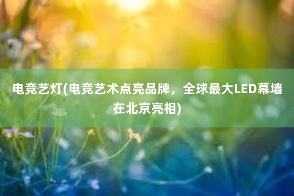 电竞艺灯(电竞艺术点亮品牌，全球最大LED幕墙在北京亮相)