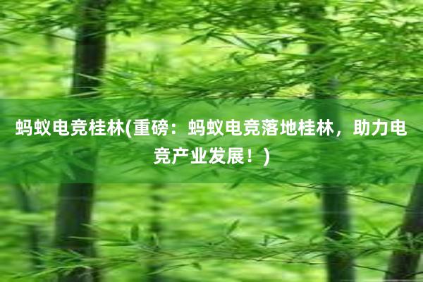 蚂蚁电竞桂林(重磅：蚂蚁电竞落地桂林，助力电竞产业发展！)