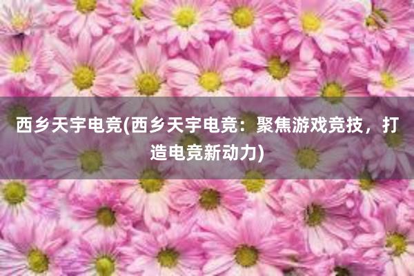 西乡天宇电竞(西乡天宇电竞：聚焦游戏竞技，打造电竞新动力)