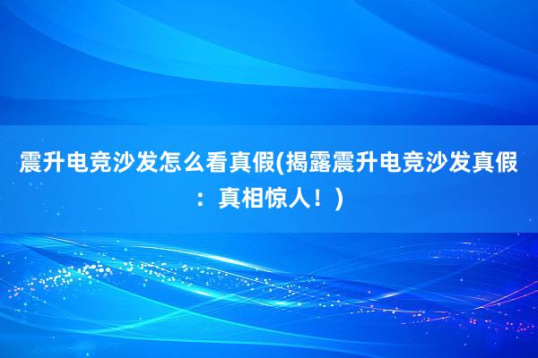 震升电竞沙发怎么看真假(揭露震升电竞沙发真假：真相惊人！)