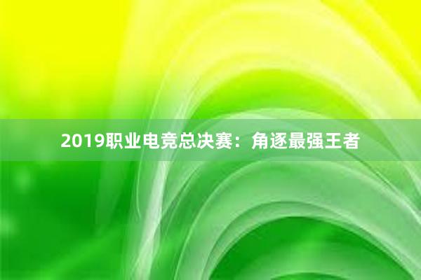 2019职业电竞总决赛：角逐最强王者