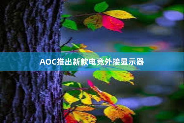 AOC推出新款电竞外接显示器