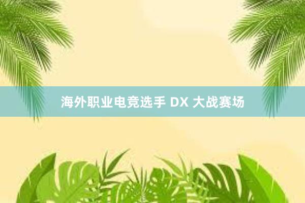 海外职业电竞选手 DX 大战赛场