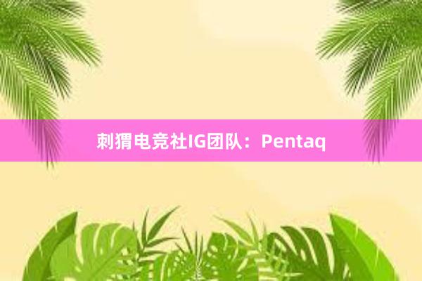 刺猬电竞社IG团队：Pentaq