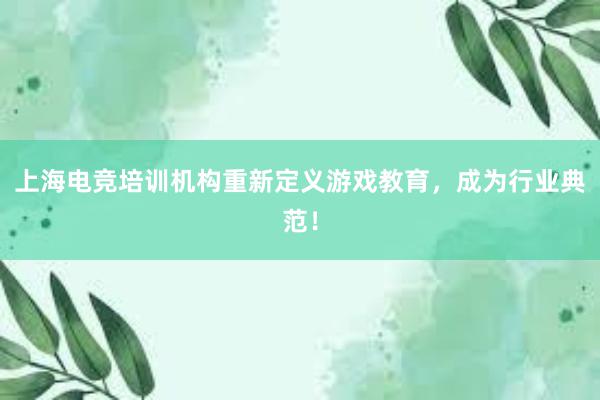 上海电竞培训机构重新定义游戏教育，成为行业典范！