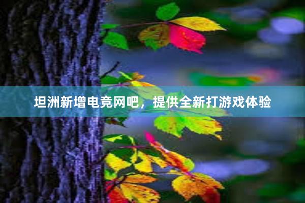 坦洲新增电竞网吧，提供全新打游戏体验