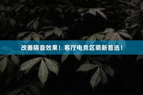 改善隔音效果！客厅电竞区萌新首选！