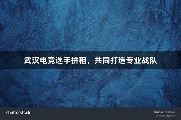 武汉电竞选手拼租，共同打造专业战队