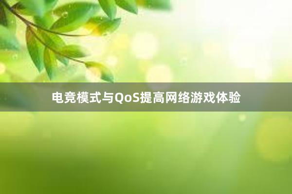 电竞模式与QoS提高网络游戏体验