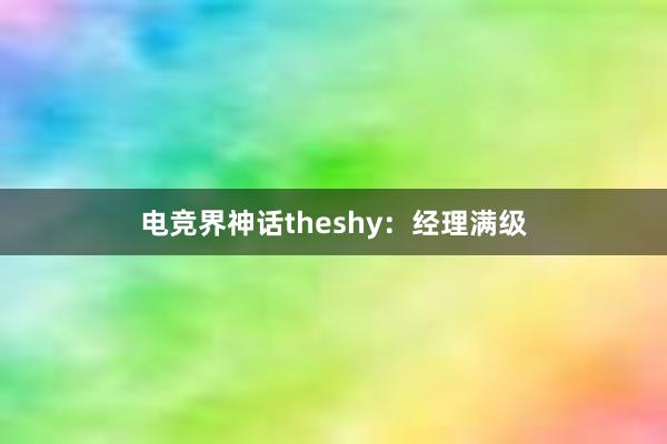 电竞界神话theshy：经理满级