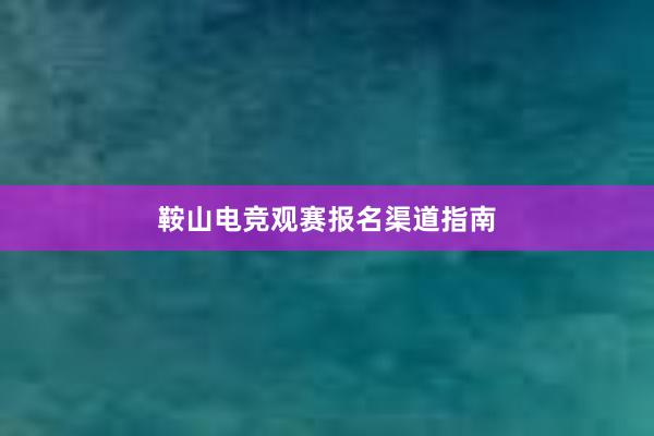 鞍山电竞观赛报名渠道指南